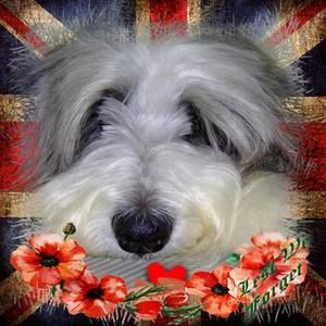 Meet your Posher, Barbara